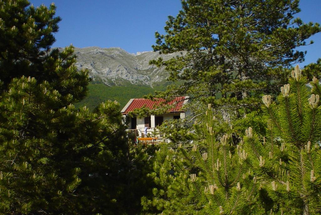 Apartments Europa Starigrad Paklenica Exterior foto